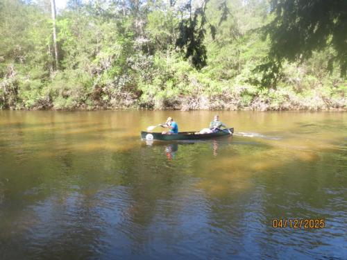 IMG 2969 (1)