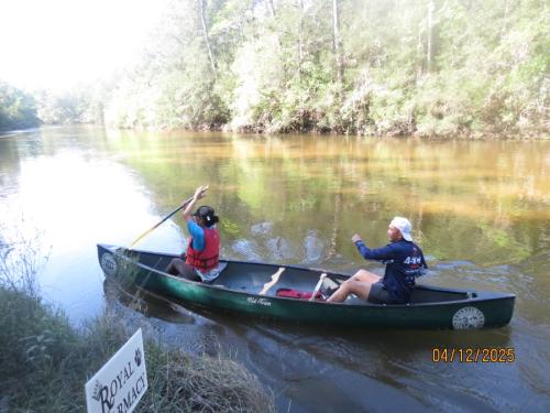 IMG 2985 (1)