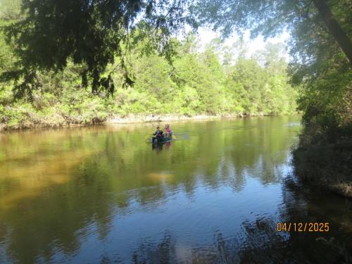 IMG 2987 (1)