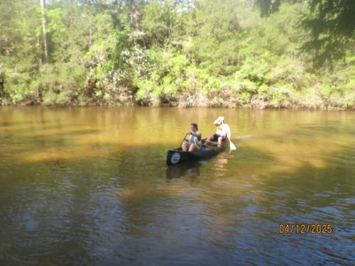IMG 2995 (1)