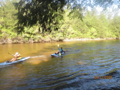 IMG 3040 (1)