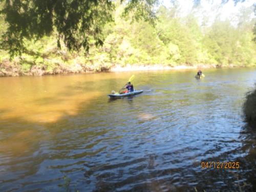 IMG 3058 (1)