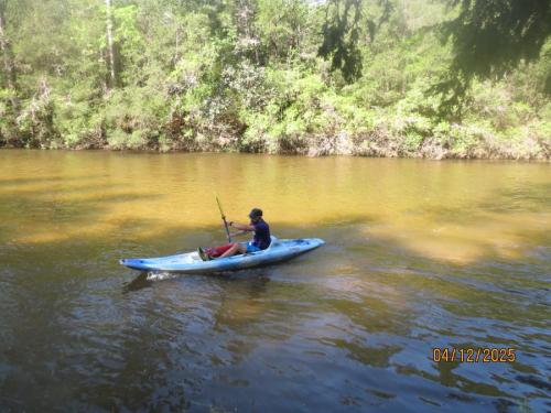 IMG 3060 (1)