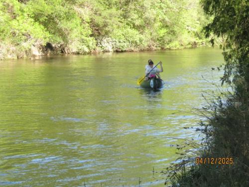 IMG 3077 (1)