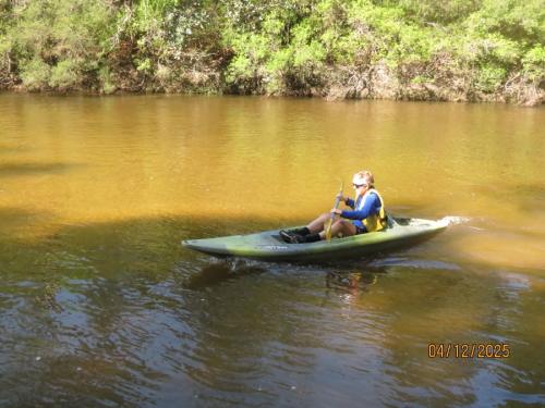 IMG 3093 (1)