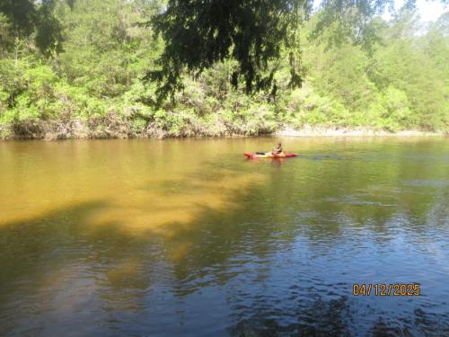 IMG 3104 (1)