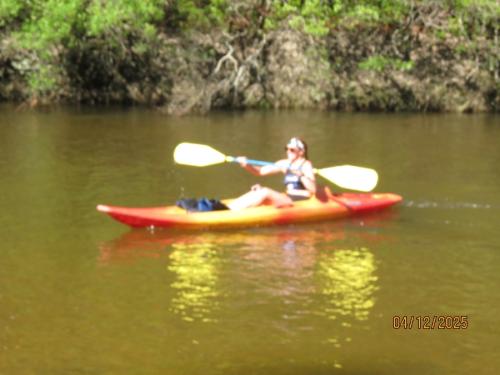 IMG 3105 (1)