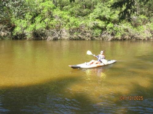 IMG 3115 (1)