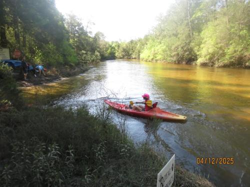 IMG 3134 (1)