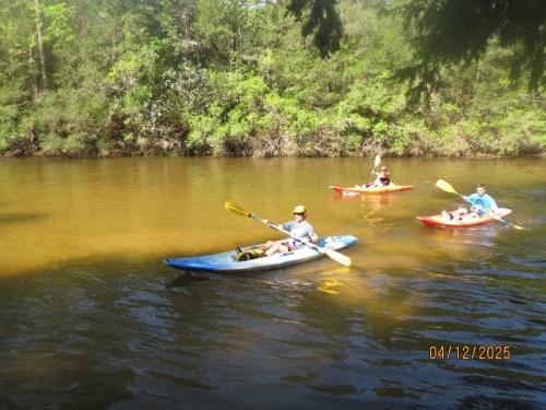 IMG 3146 (1)