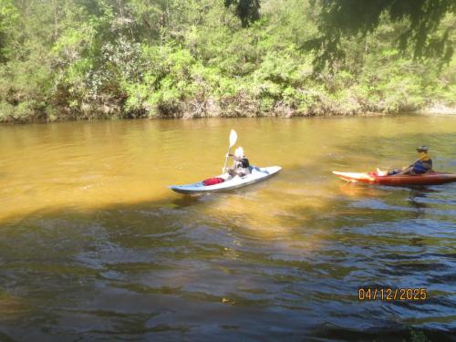IMG 3149 (1)