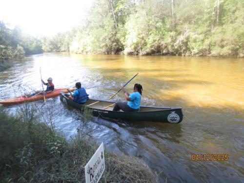IMG 3154 (1)