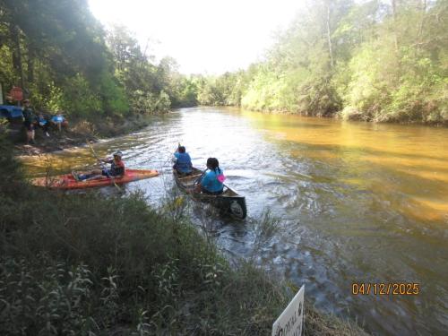 IMG 3155 (1)
