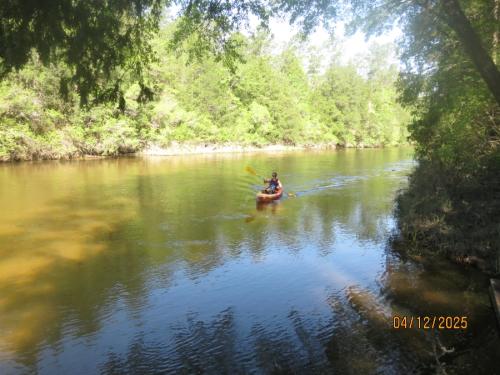 IMG 3194 (1)
