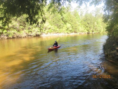 IMG 3206 (1)