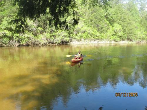 IMG 3226 (1)
