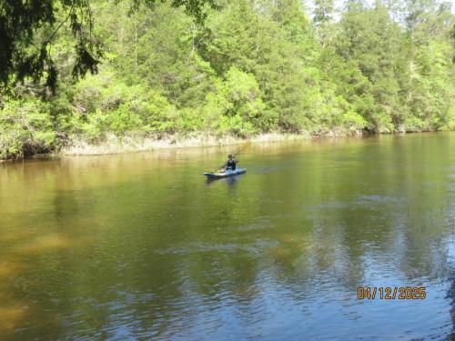 IMG 3239 (1)