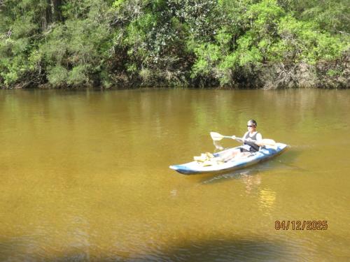 IMG 3242 (1)