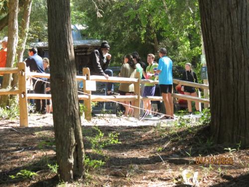 IMG 3245 (1)