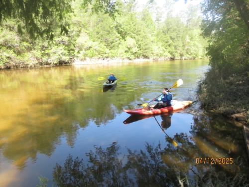 IMG 3250 (1)